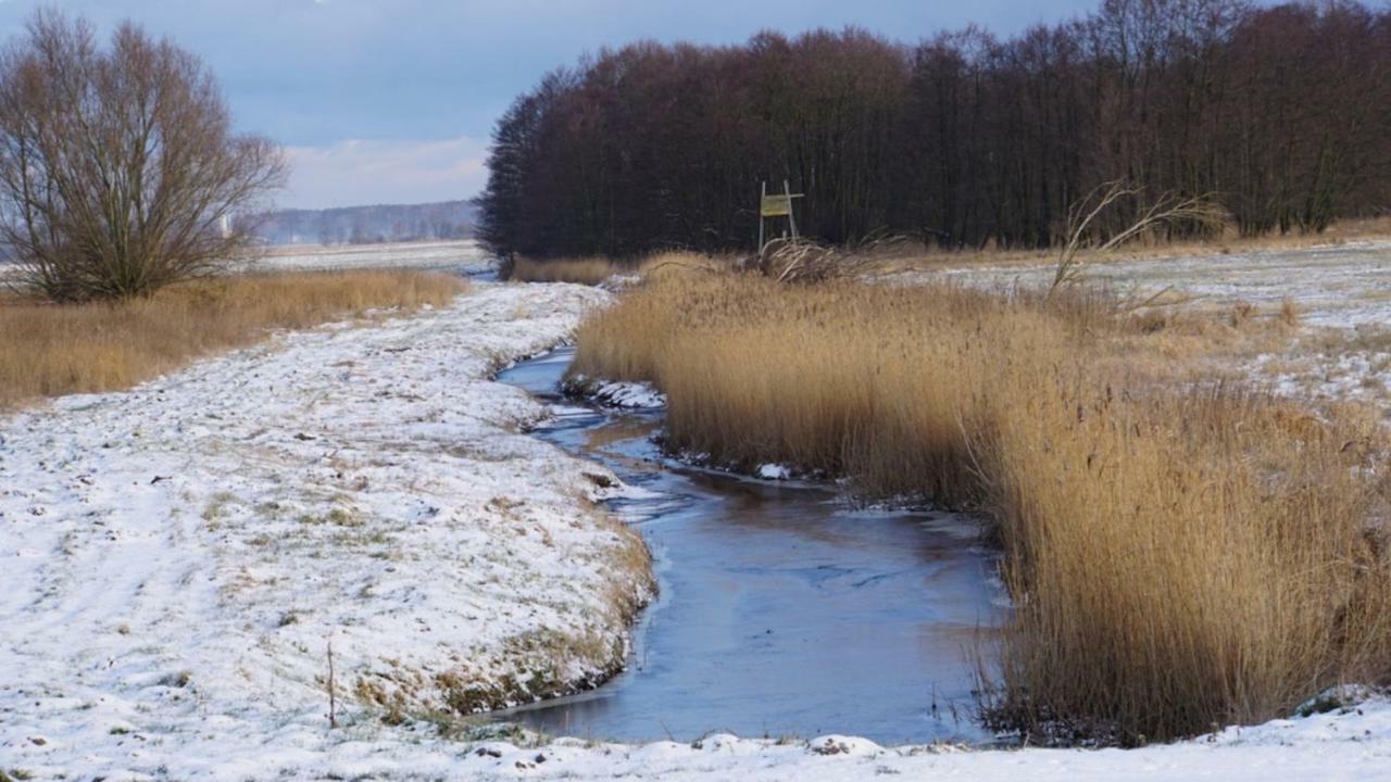 Fischerhus In Krummin - Nur Fuer Urlauber Zewnętrze zdjęcie